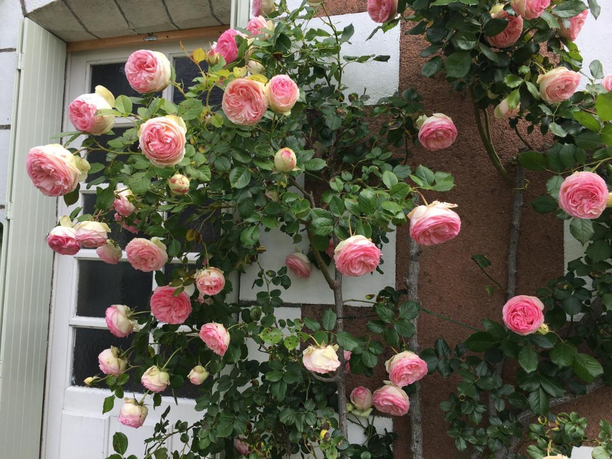 La Bauldiniere Bed & Breakfast Tauxigny Luaran gambar
